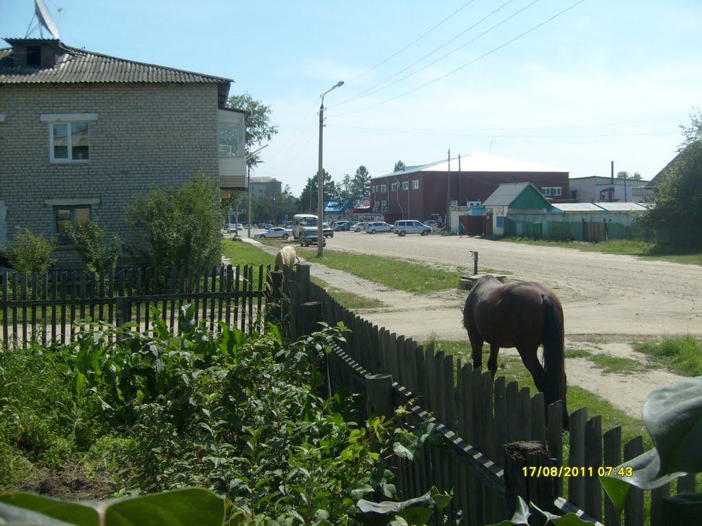 ул.Октябрьская, Шимановск