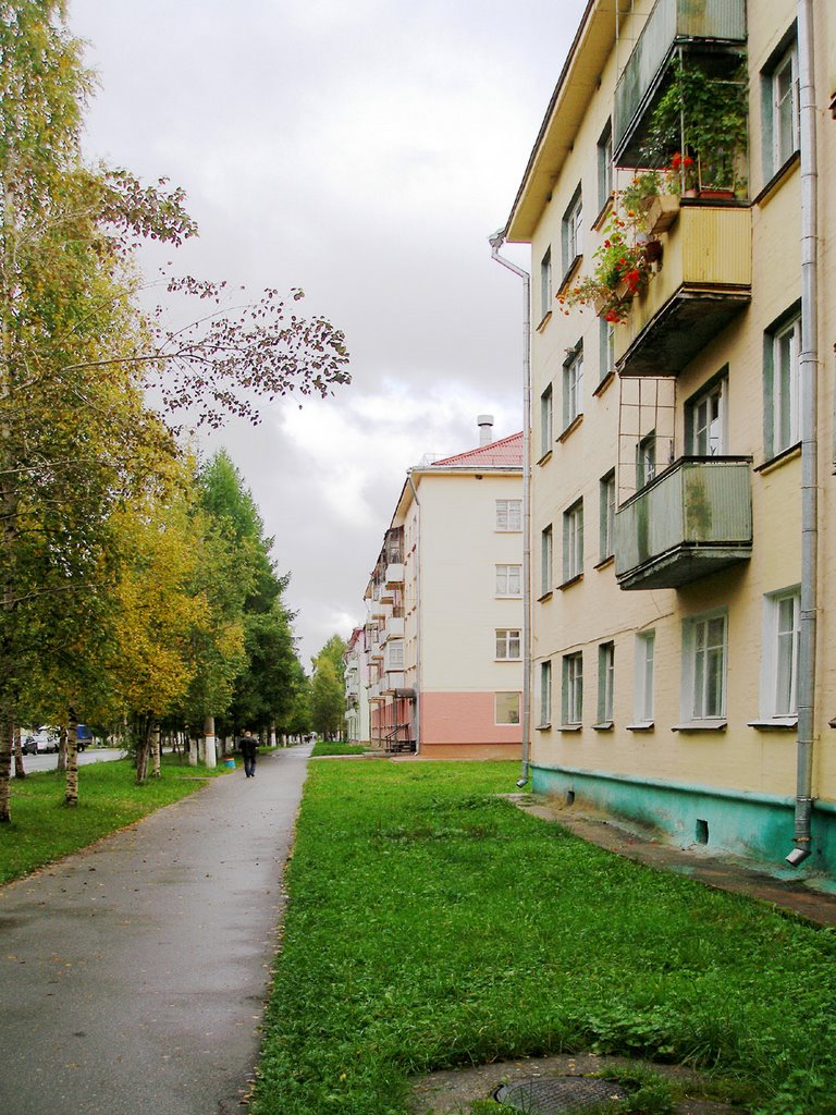 Lenin street, Mirny, Мирный