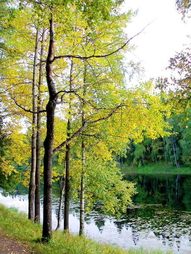 Autumn on Mirny lake, Мирный