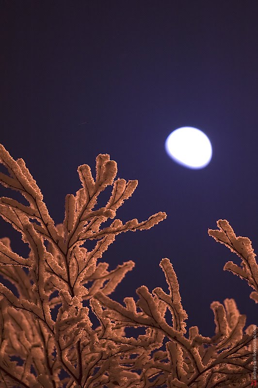 Moon n frost, Архангельск