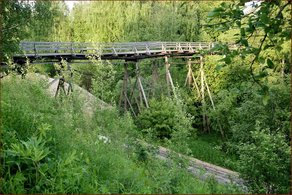 Мост через овраг, Верхняя Тойма
