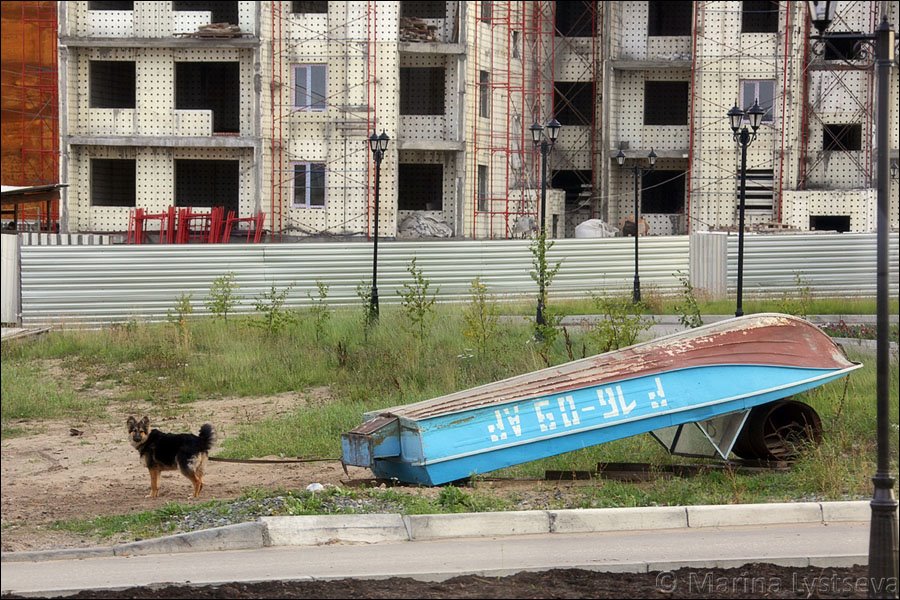 Новостройка, лодка и пёс, Нарьян-Мар