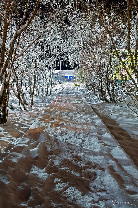 Деревянный тротуар, Нарьян-Мар
