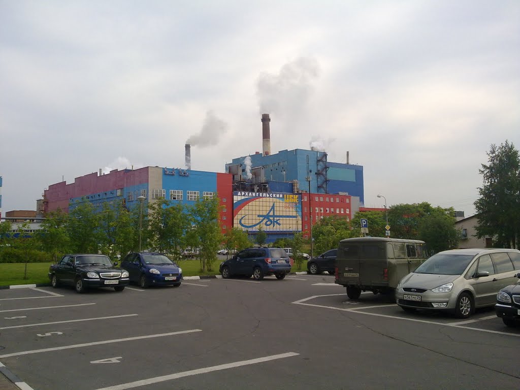 Новодвинск. Архангельский ЦБК / Arkhangelsk pulp-and-paper industrial complex in the Novodvinsk, Новодвинск