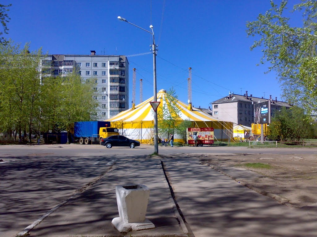 г. Новодвинск. Цирк шапито.2010 г., Новодвинск