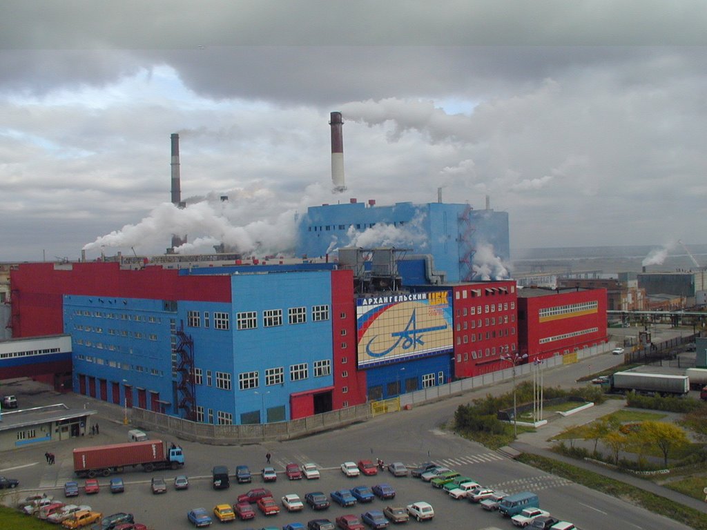 Мой счастливый месяц май... В поисках смысла Дзен