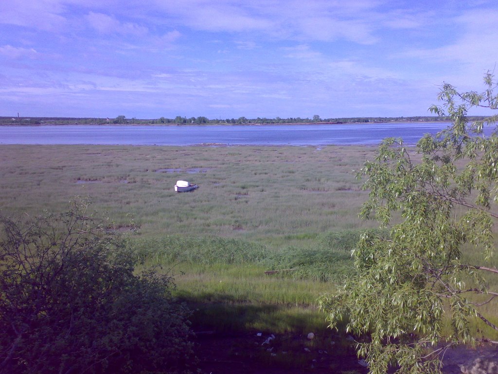 река Онега в момент отлива, Онега