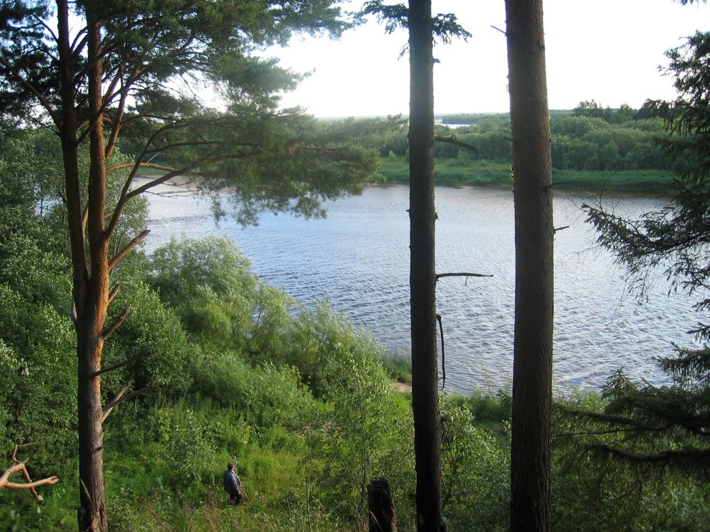 Вид на реку Вага, Шенкурск