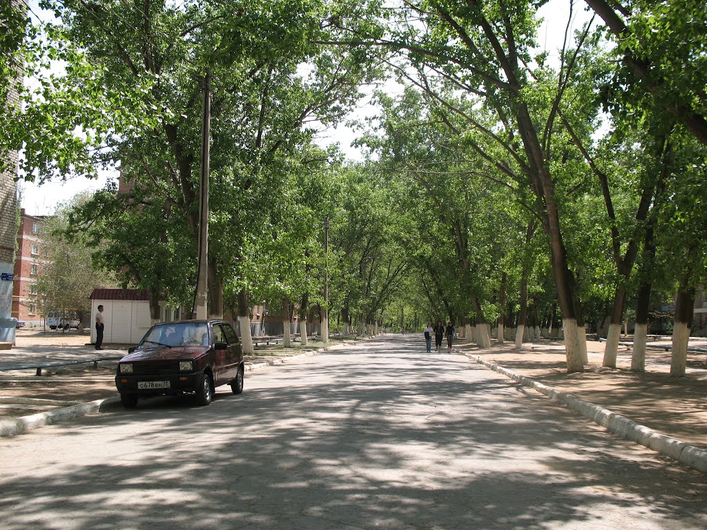 Астраханская обл. Улица в г.Нариманов, Нариманов