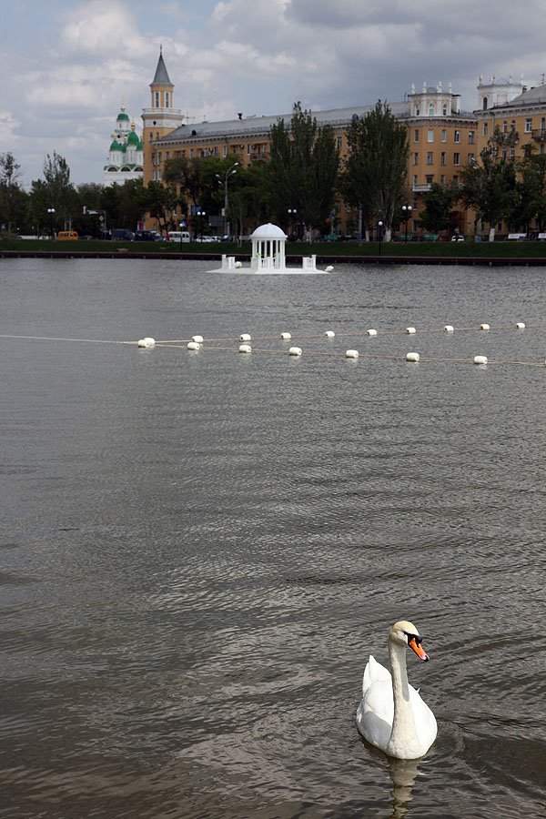 Swan Lake, Astrakhan City, Астрахань
