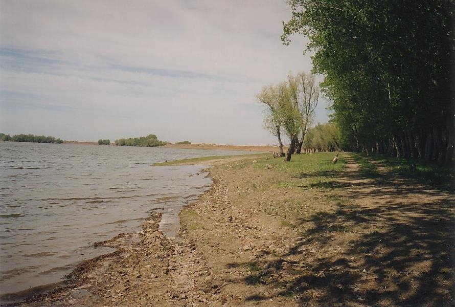 На берегу ерика Ашулука  /  On river bank Ashuluk, Харабали
