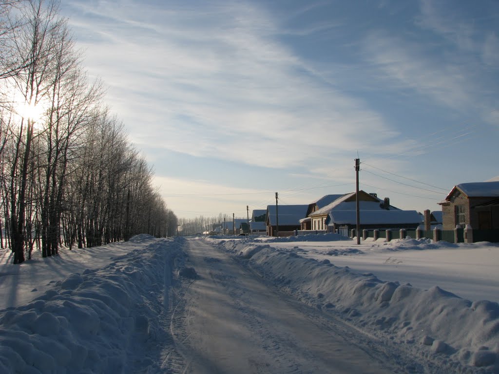Село Бакалы, улица Костина (1), Бакалы