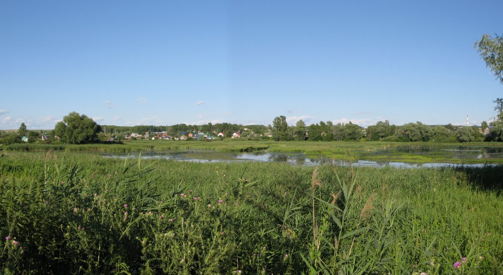 Вид пруда с ул. Трудовой / Pond View from Trudovaya Str., Благовещенск