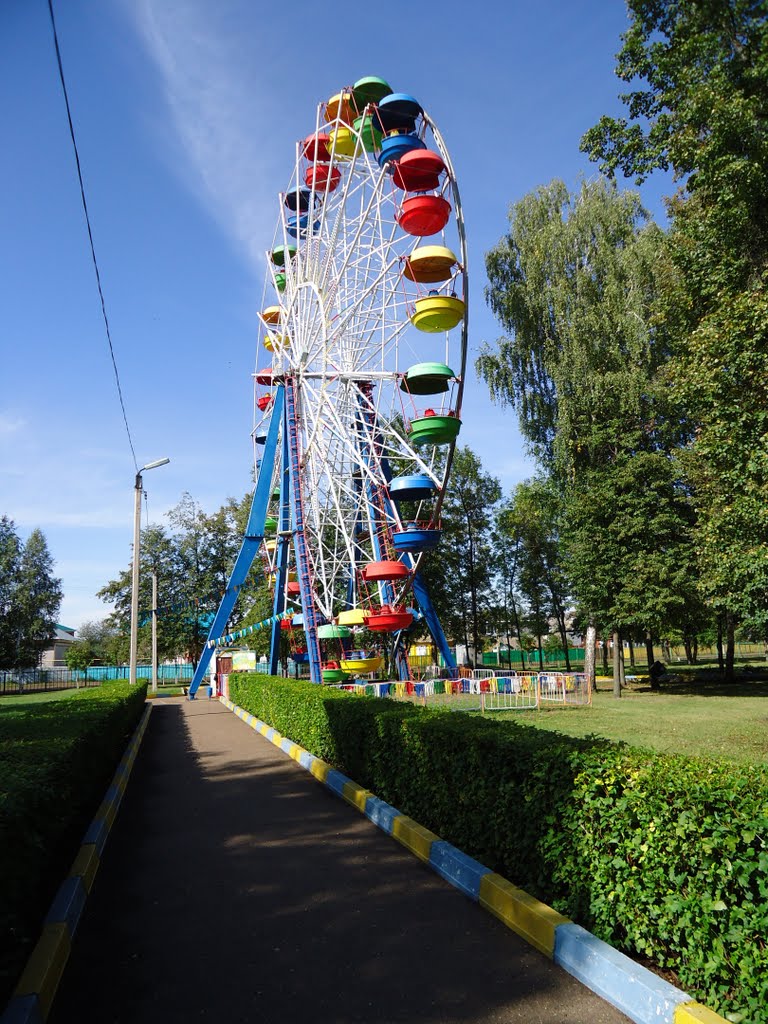 Колесо в парке отдыха, Верхнеяркеево