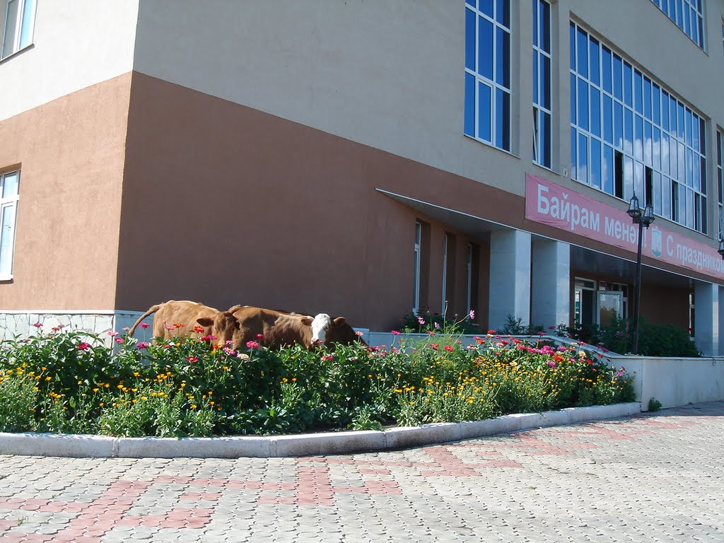 Исянгулово фото села Исянгулово фото села