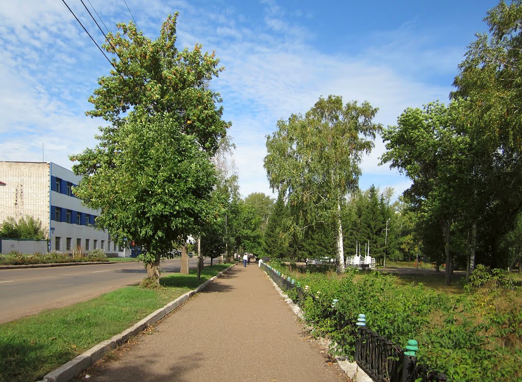 ул. Стахановская слева, парк справа, Ишимбай