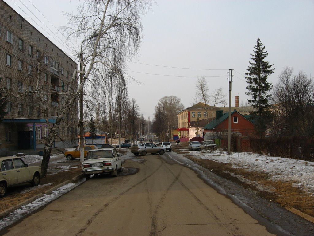 Улица Гоголя рядом с пересечением с улицой Пугачева, Октябрьский