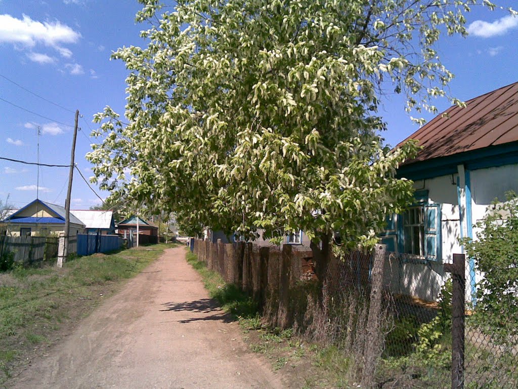 Переулок Деповской, Раевский