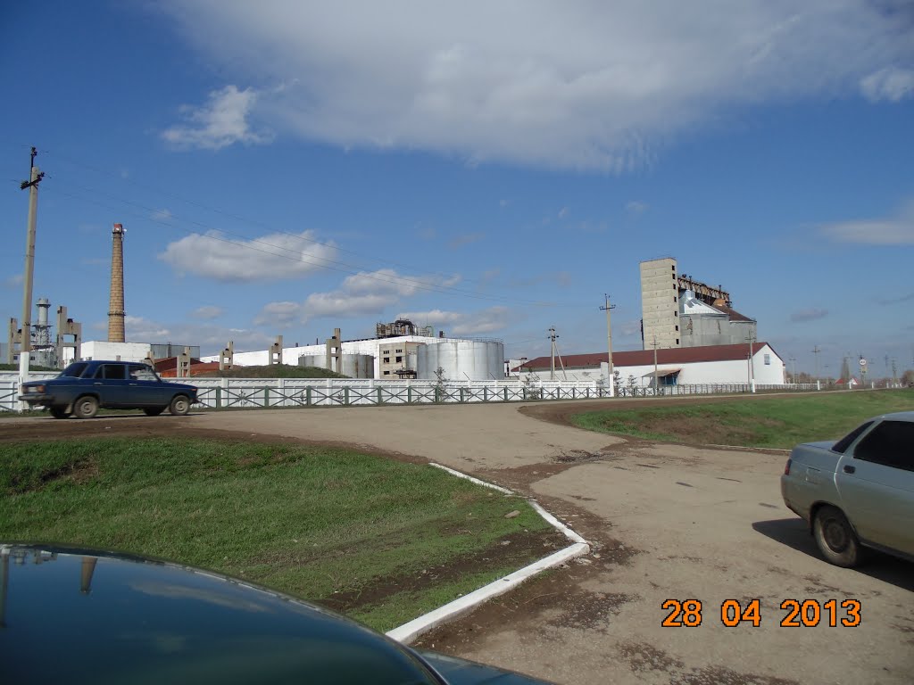 Сахарный завод, Раевский