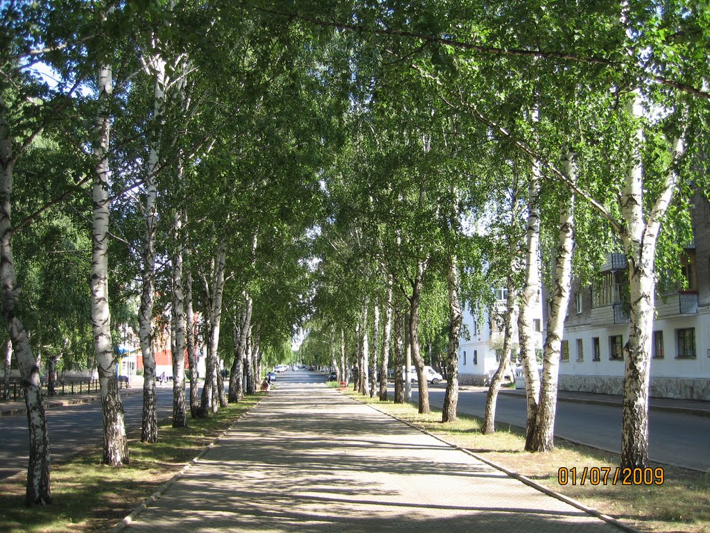 Проспект Нефтянников, Салават