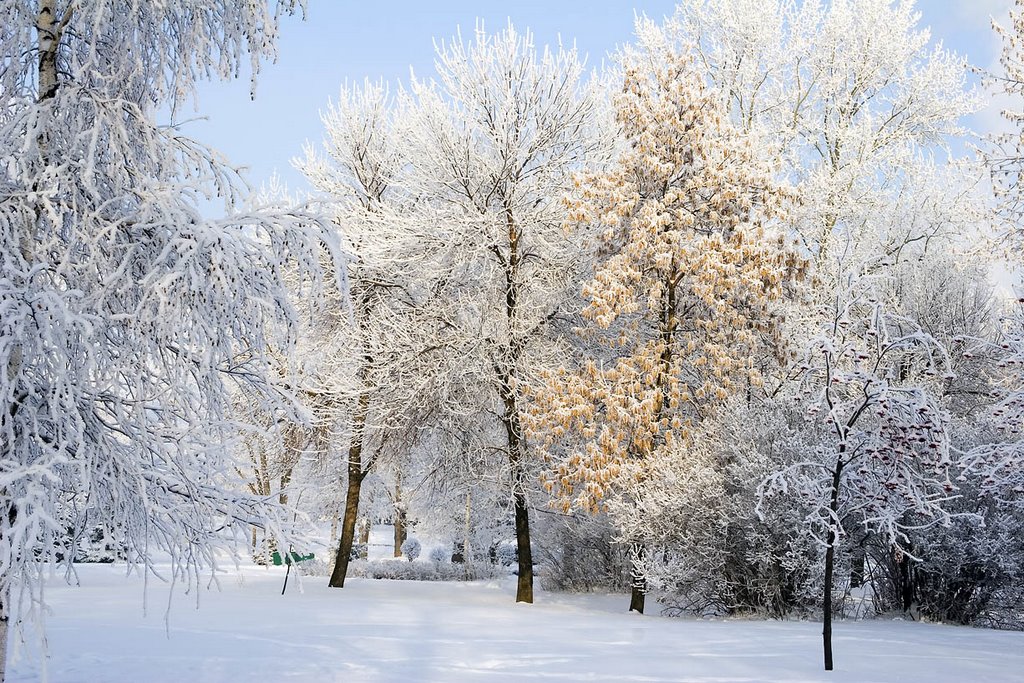 Зима в парке, Уфа