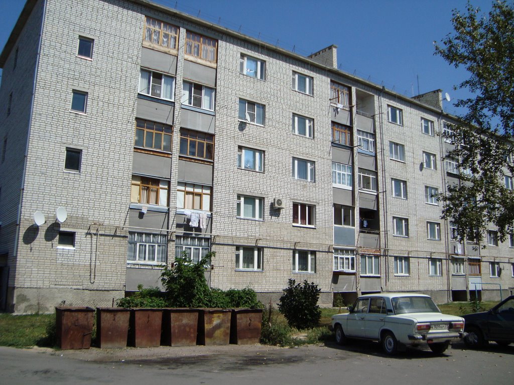 дом возле налоговой инспекции, Алексеевка