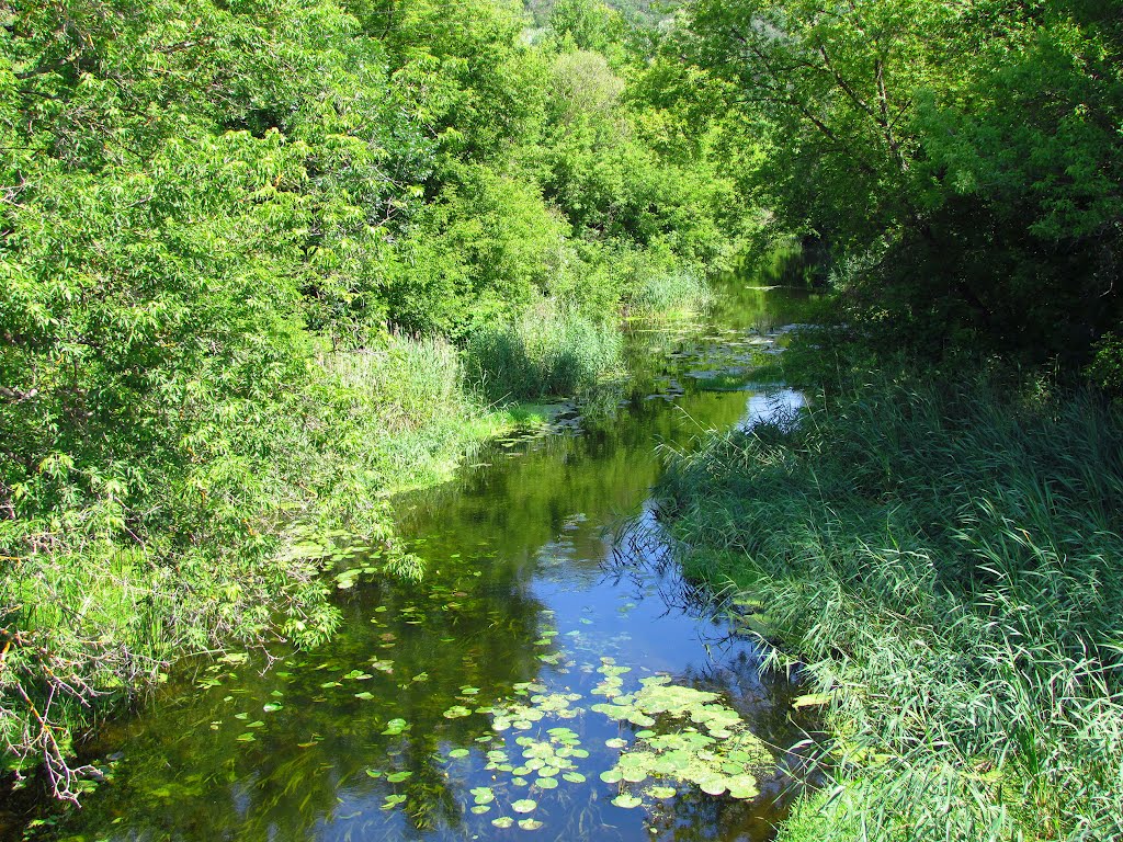 Река Ворскла. 11 июня 2012., Борисовка
