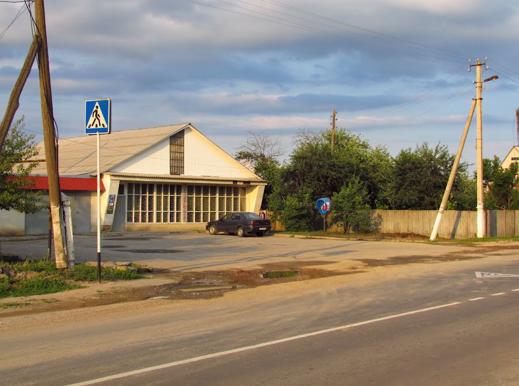 Магазин в бывшем совхозе. 15 июня 2012., Борисовка