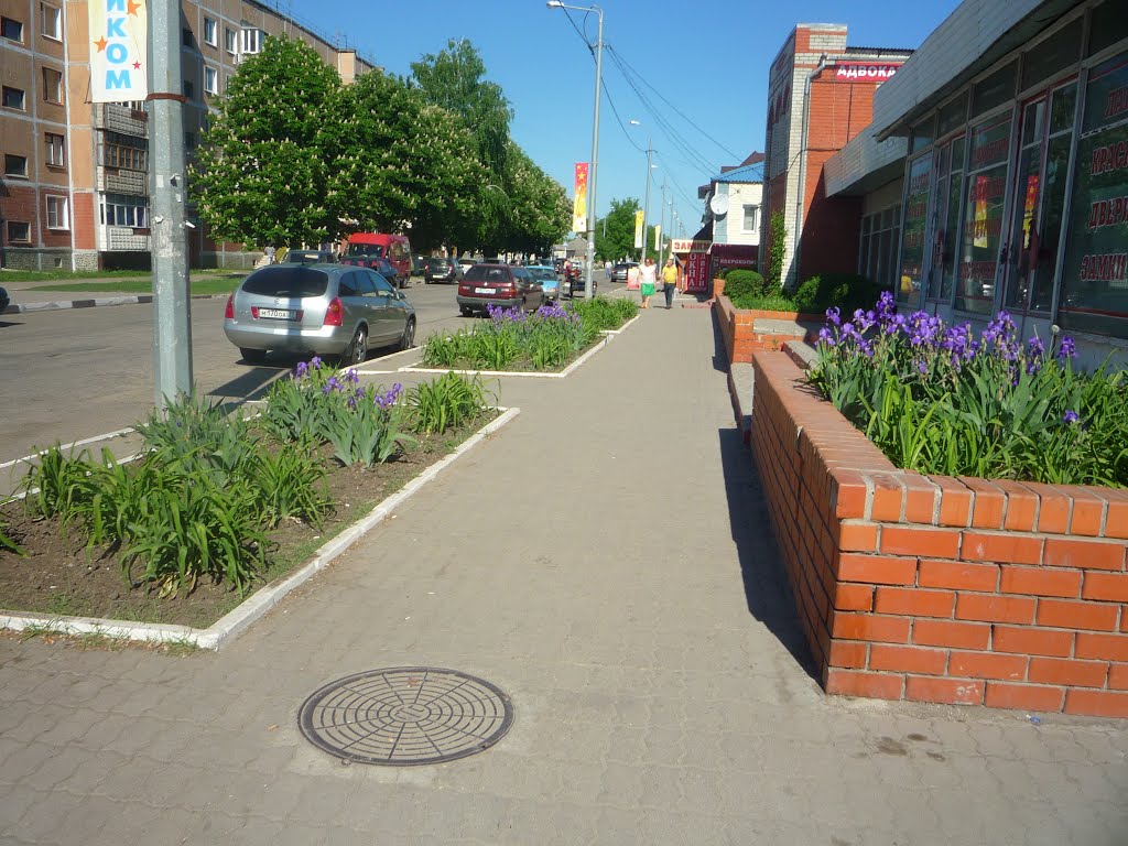 Улица Горького, Валуйки