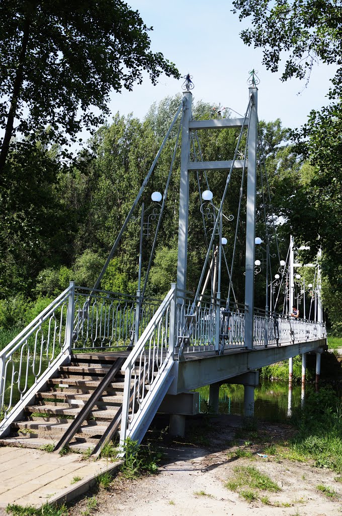Мост, Волоконовка