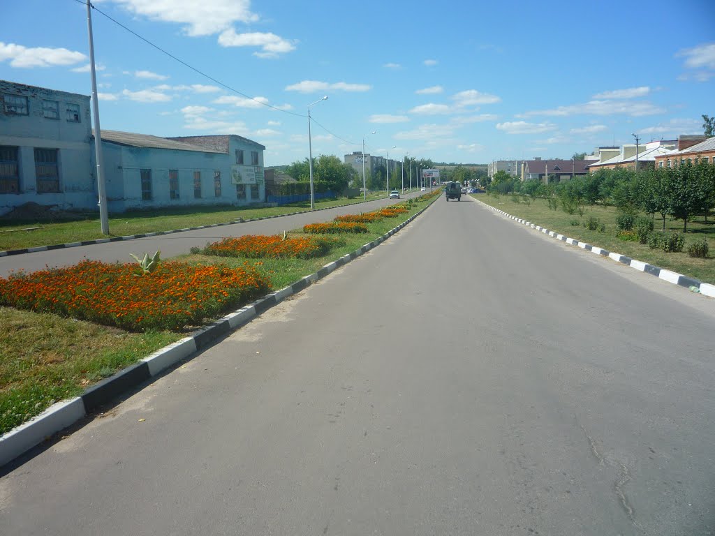 улица, Волоконовка