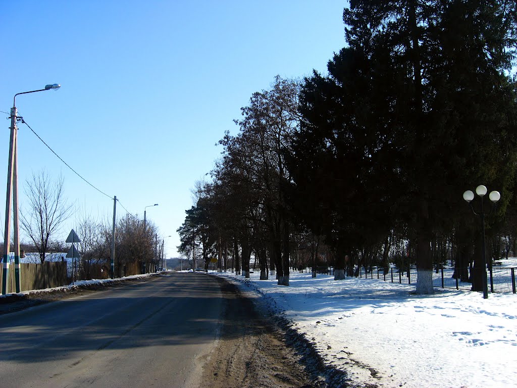 Дорога возле санатория, Ивня