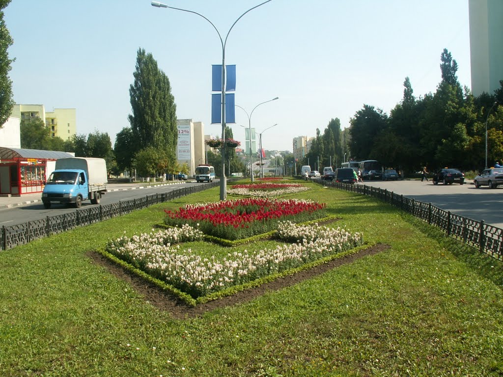 Komsomolsky avenue, Старый Оскол