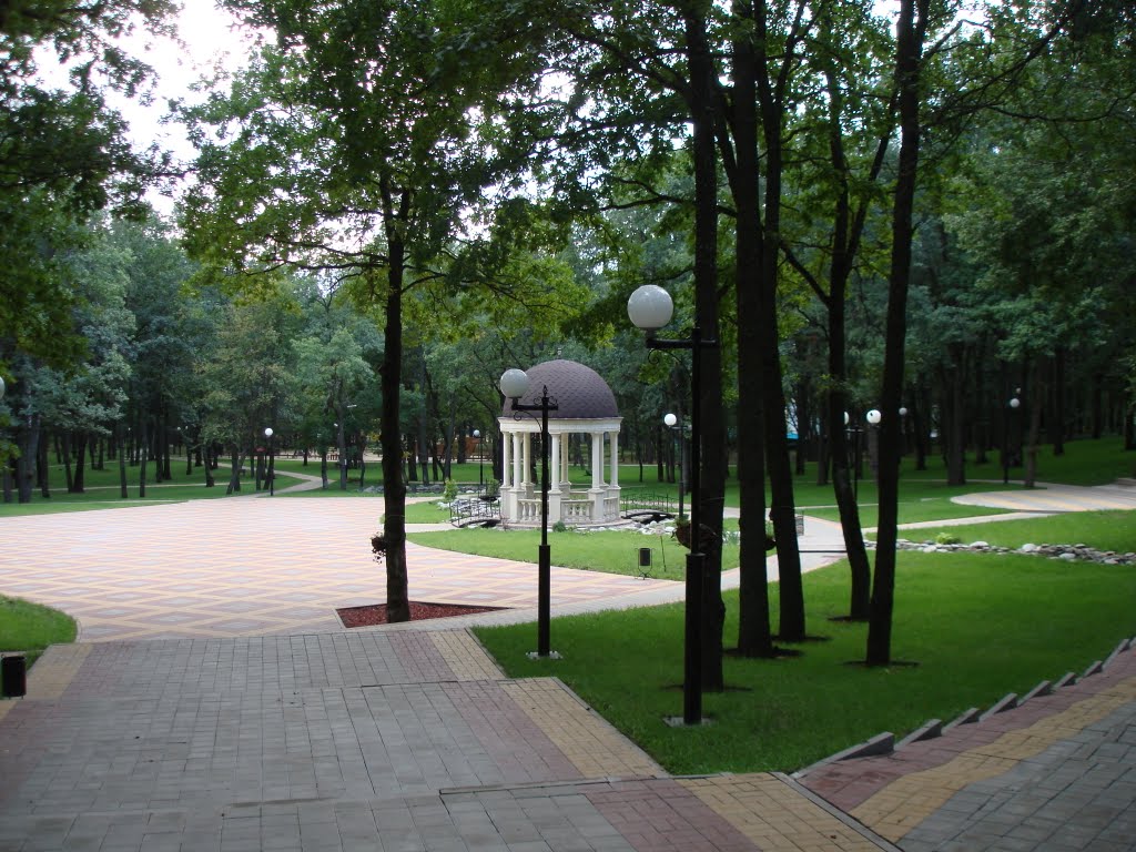 парк Маршалково, Строитель