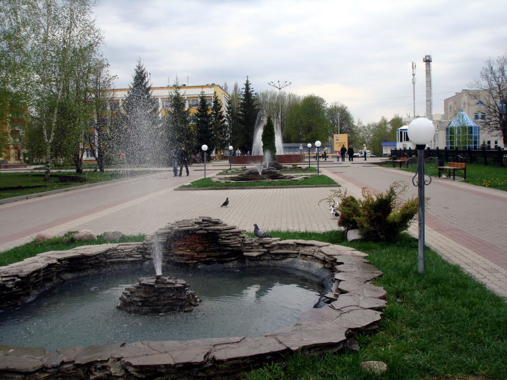 улица Конева Центральная библиотека Яковлевского района г. Строитель Белгородска