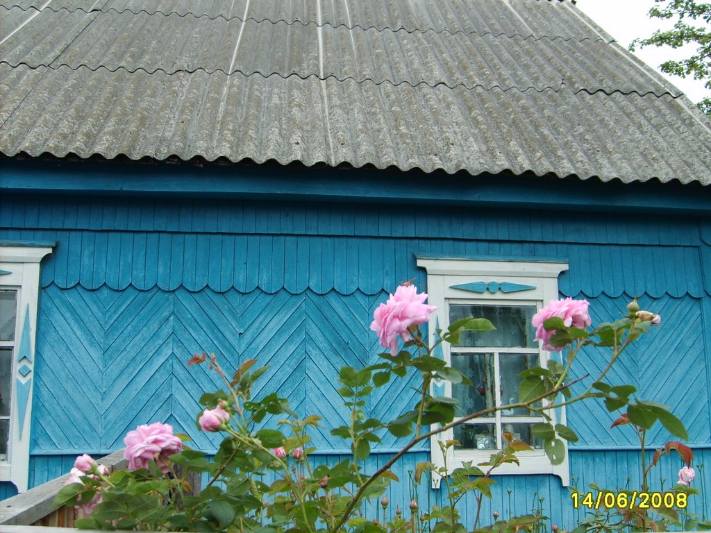 Дом в Салтановке, Алтухово
