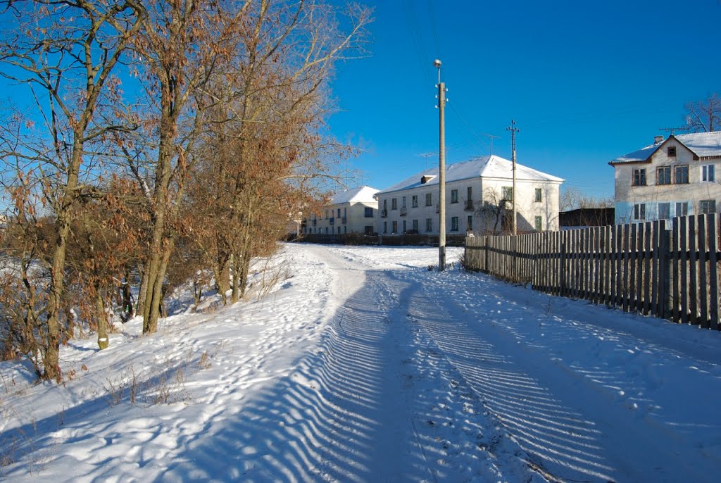 Белая березка березовая ул 2а челябинск фото Белая березка березовая ул 2а челябинск фото