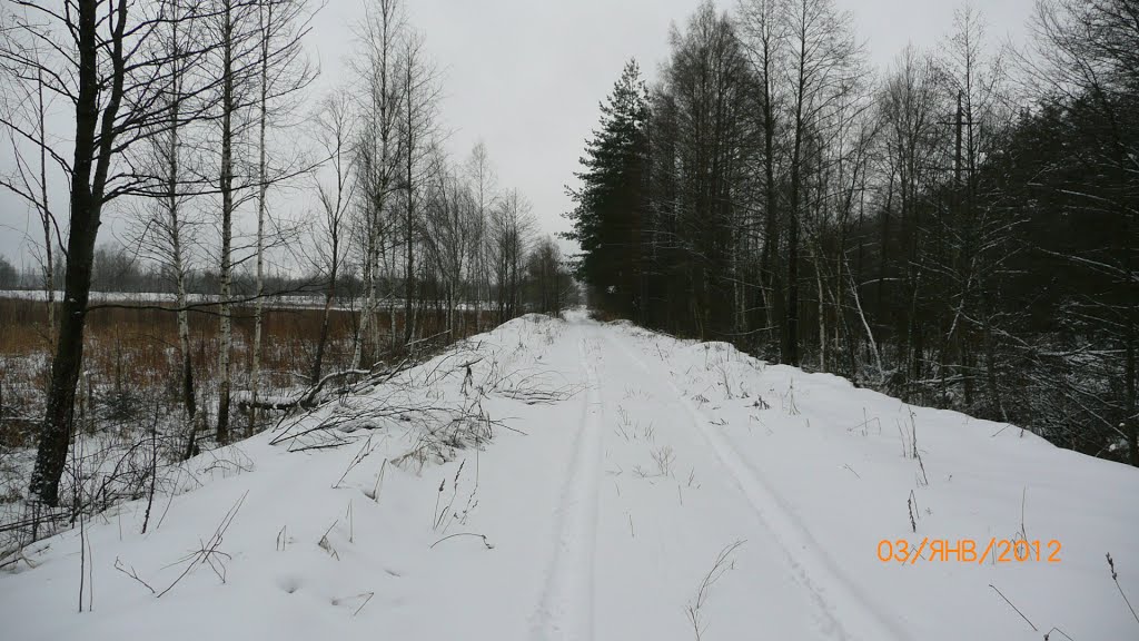 Дорога к ГРЭС со стороны леса, Белые Берега