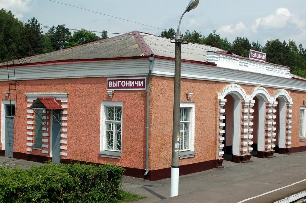 Вокзал на станции Выгоничи, Брянская область, Выгоничи