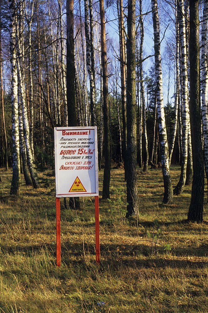 Sur la route de Zlynka, (zone contaminée), Вышков
