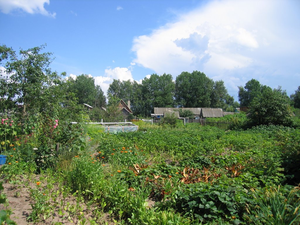 Garden in Dubrovka, Дубровка