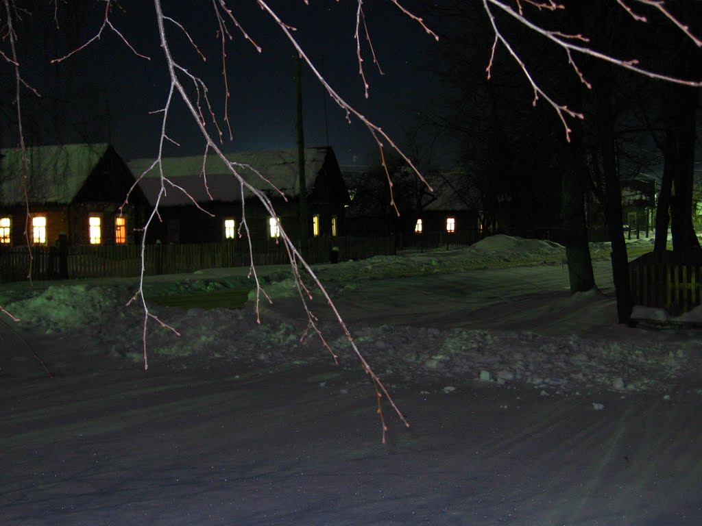 Dubrovka.Winter.Night (S.Tarapov), Дубровка