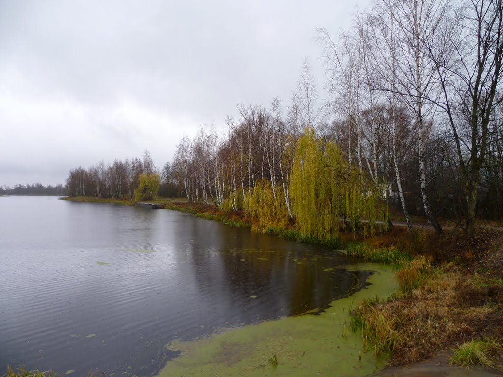 The Lake, Злынка
