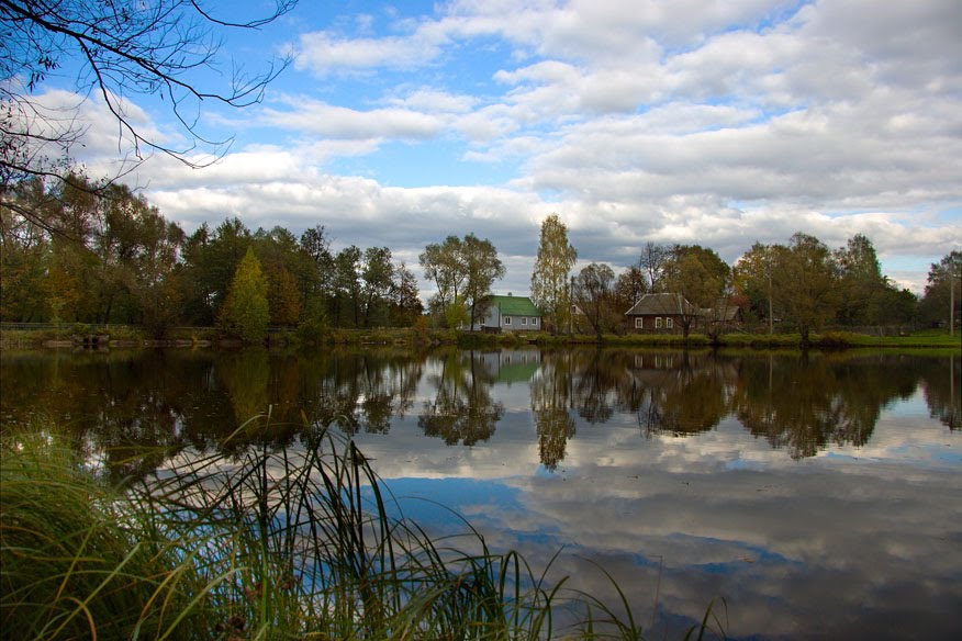 Озеро "Базарское", Клетня