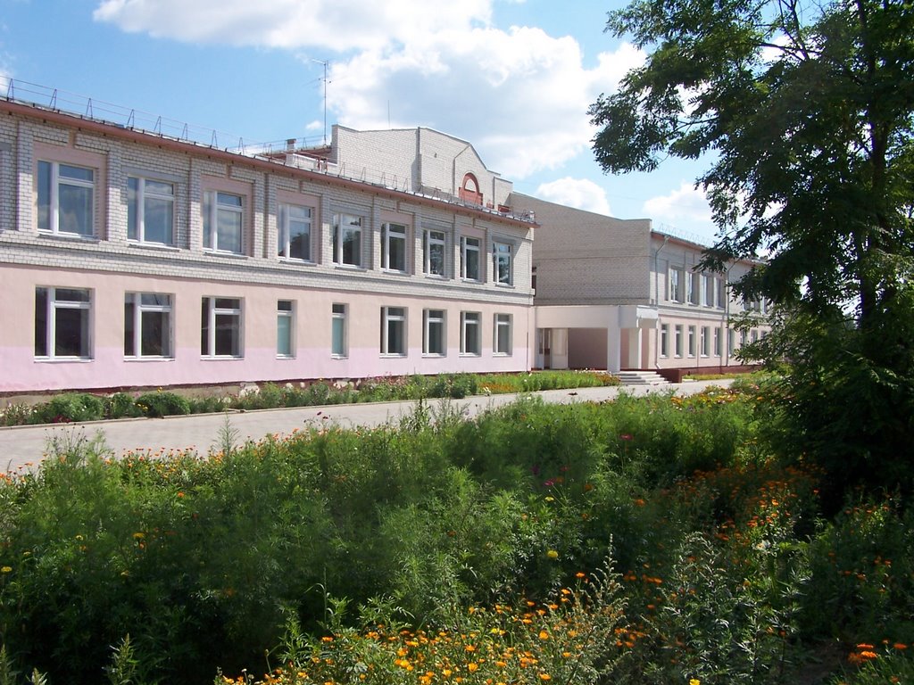 Климовская средняя школа №1, Климово