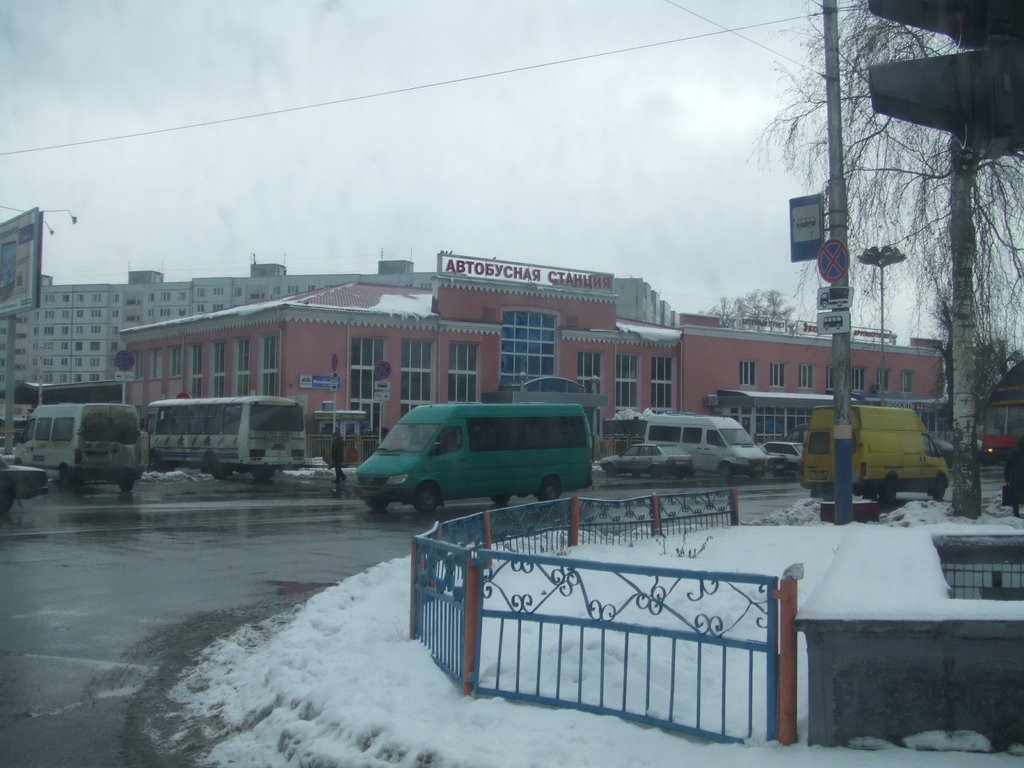 Bryansk - Main Bus Station, Кокаревка