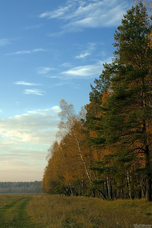 Landscape near Tolstoy Mansion, Кокаревка