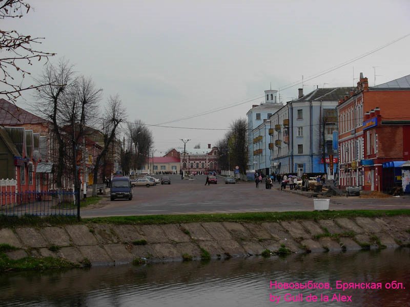 У городского озера, Новозыбков