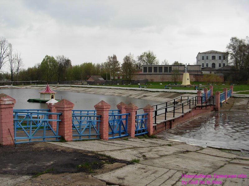 Мостик через озеро у школы, Новозыбков