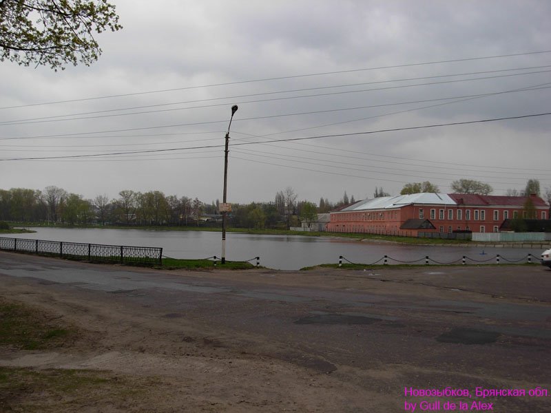 Озеро у НСЗ, Новозыбков